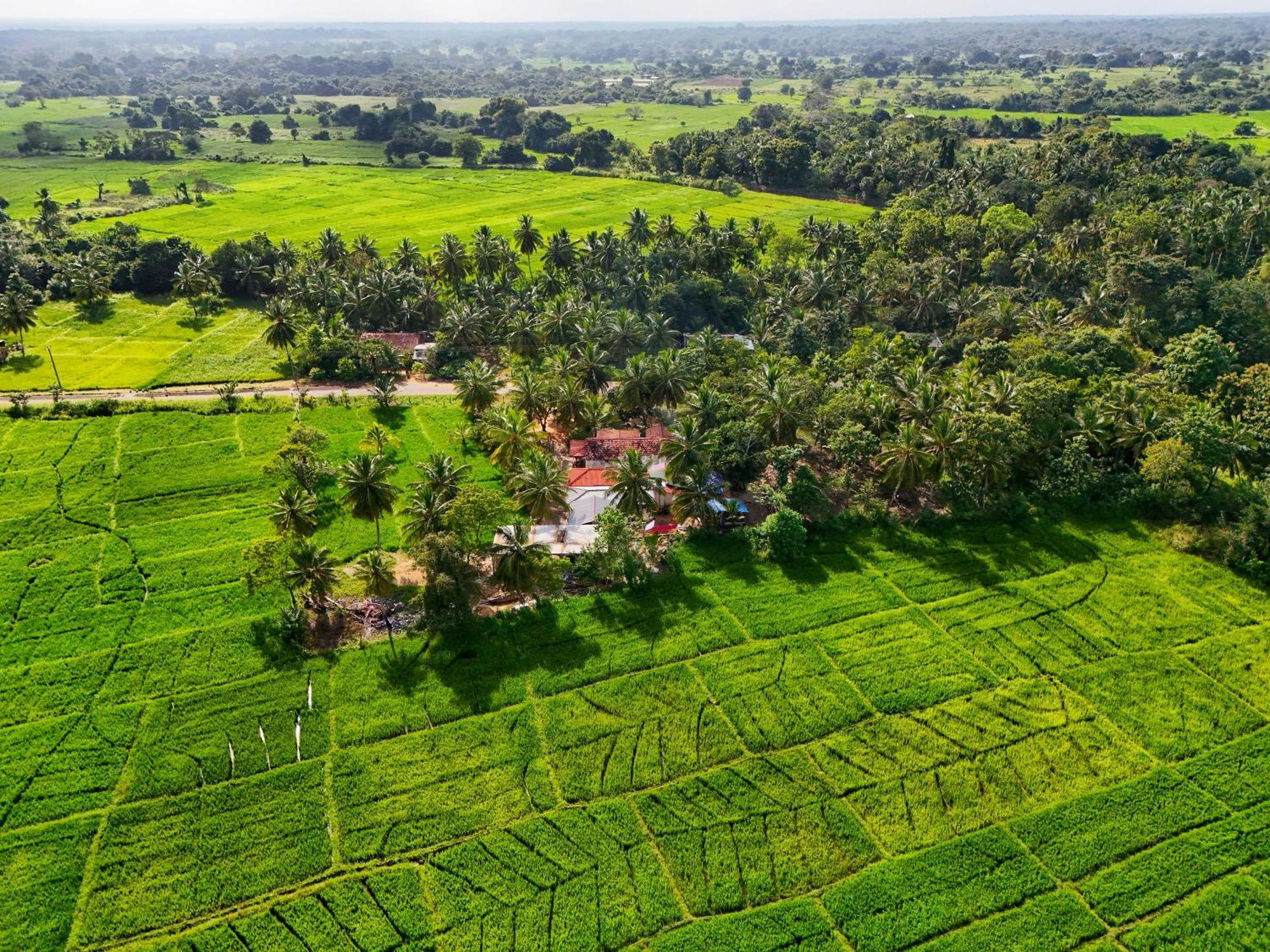 Green Sapphire Holiday Resort Wilpaththu Parque Nacional Parque Nacional Wilpattu Exterior foto