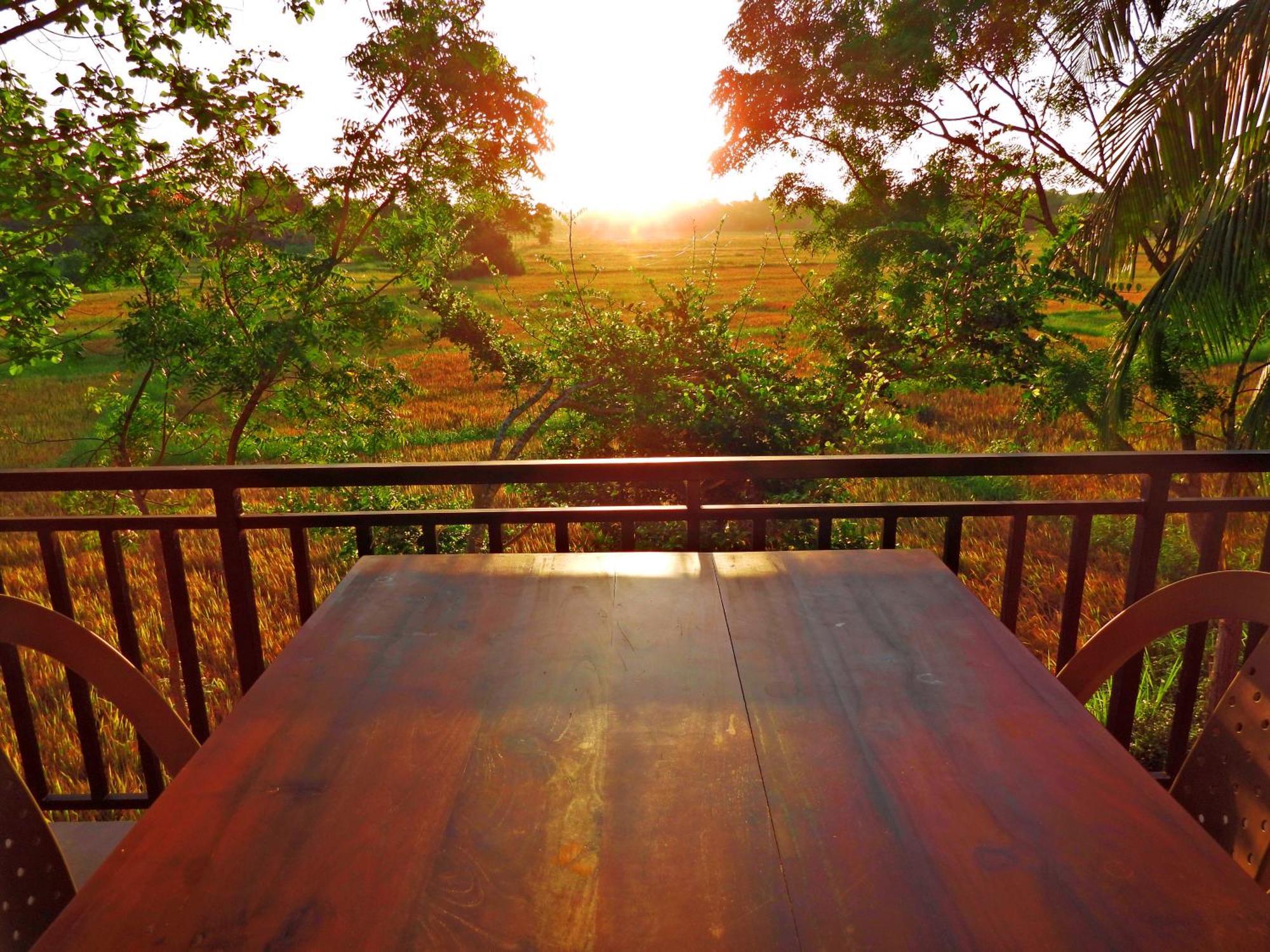 Green Sapphire Holiday Resort Wilpaththu Parque Nacional Parque Nacional Wilpattu Exterior foto